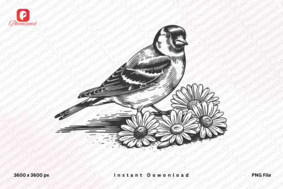 Download Floral Bird Hand Drawn Sparrow Bird PNG - Premium Resources